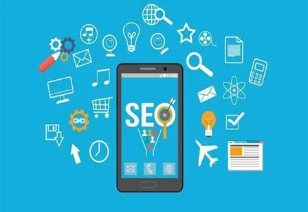 SEO小白在什么样公司才能提高自身的优化技术？